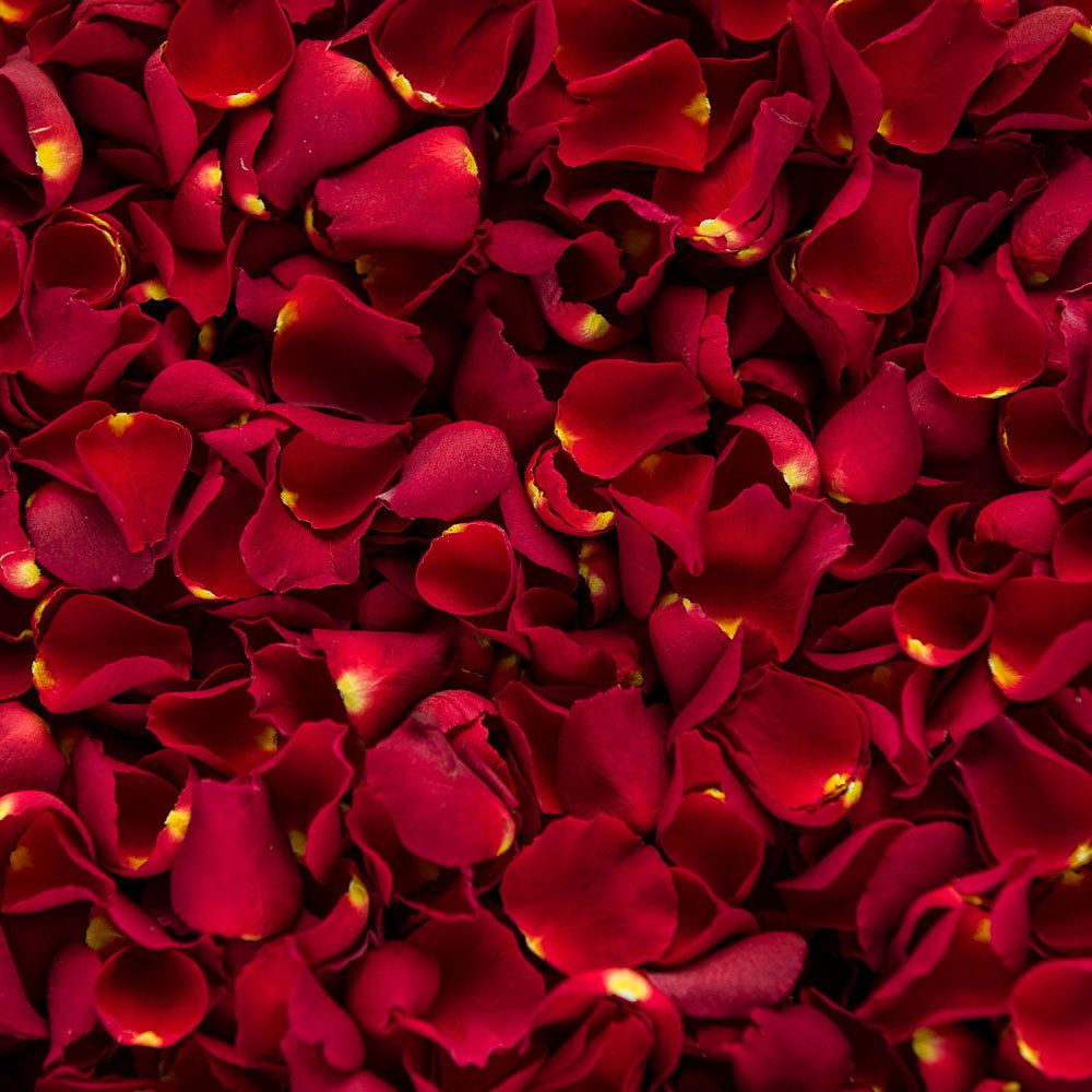 MoM'S TouCH ® RoSe PeTALS SoAP | NouRiSHeS THe SKiN | FACe WASH | HANDMADe ORGANiC SoAP | 50gm |